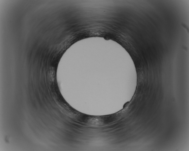 X0000100850174200807181104