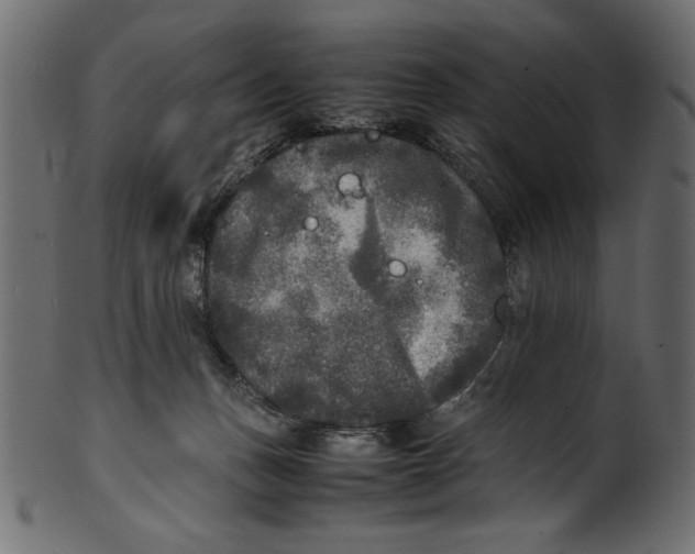 X0000100850175200807181104