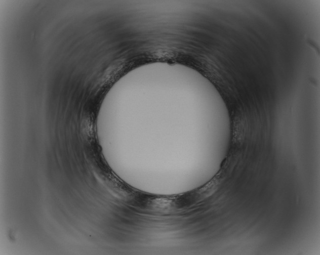 X0000100850176200807181104