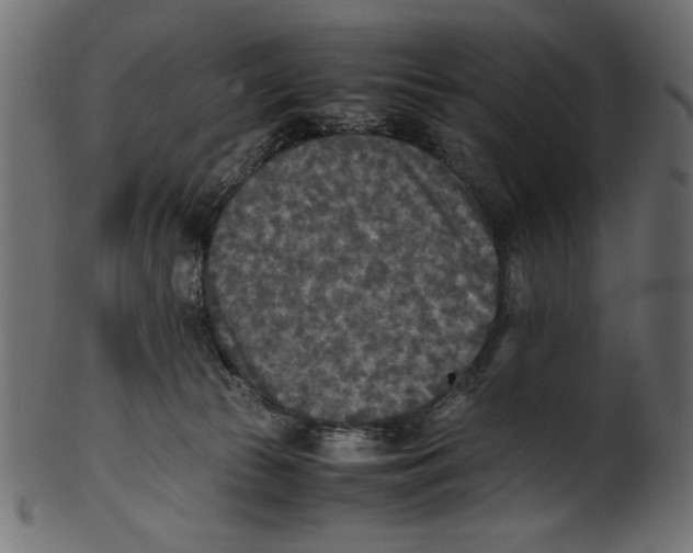 X0000100850177200807181104