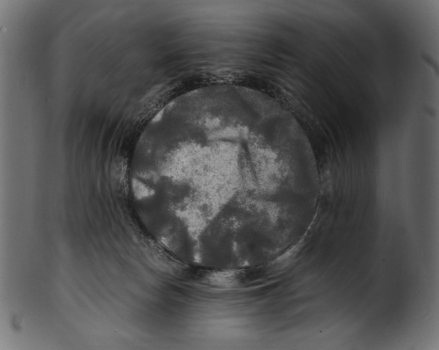 X0000100850178200807181104