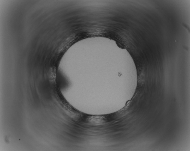 X0000100850179200807181104