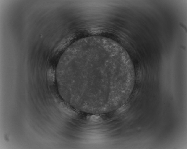 X0000100850180200807181104
