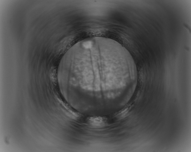 X0000100850181200807181104