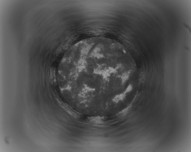 X0000100850182200807181104