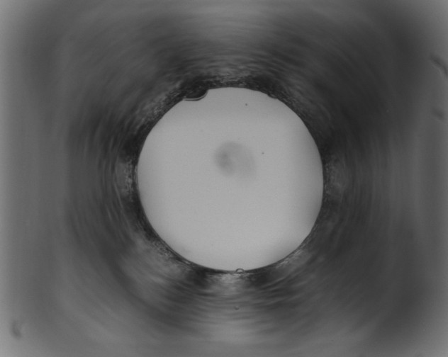 X0000100850184200807181104