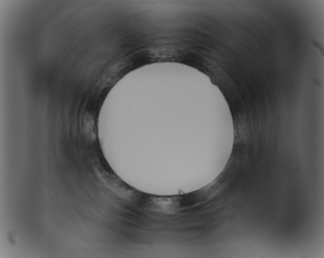 X0000100850187200807181104