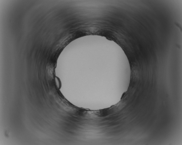 X0000100850188200807181104