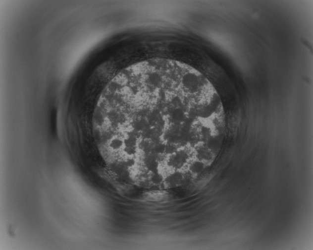 X0000100850189200807181104