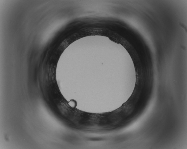 X0000100850190200807181104
