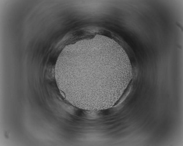 X0000100850191200807181104
