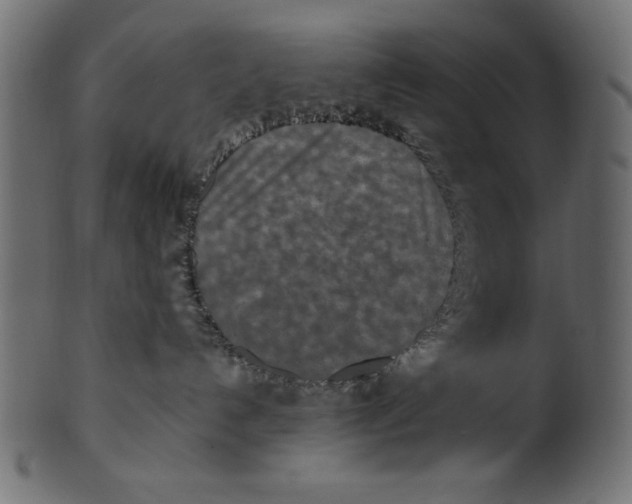X0000100850192200807181104