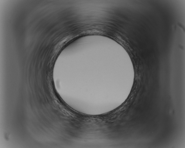 X0000100850193200807181104