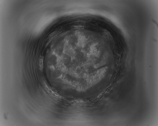 X0000100850194200807181104