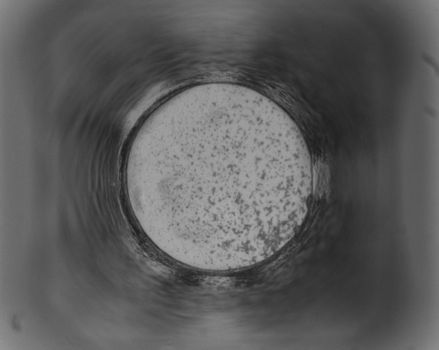 X0000100850195200807181104