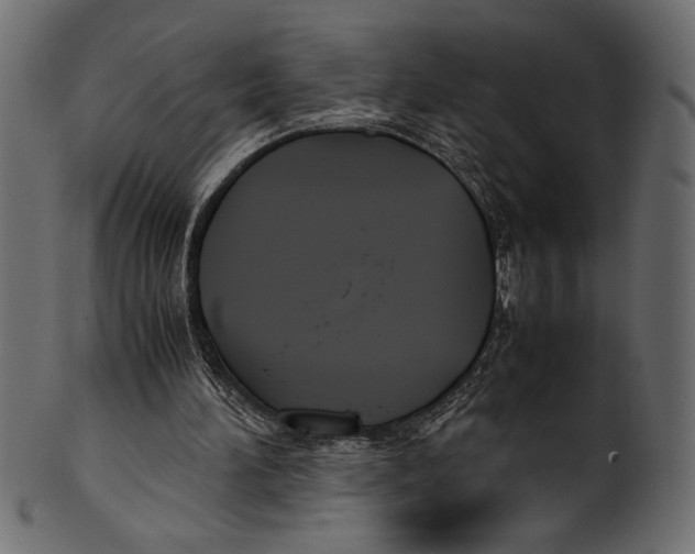 X0000100850196200807181104