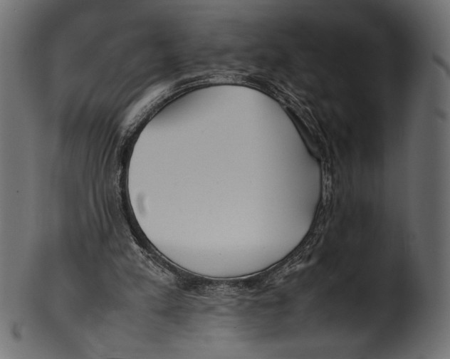 X0000100850197200807181104