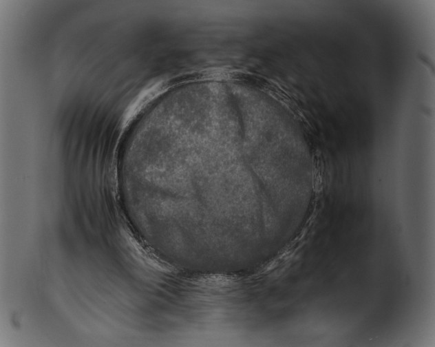 X0000100850198200807181104
