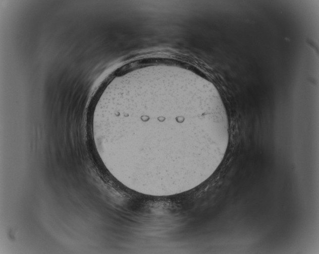 X0000100850200200807181104