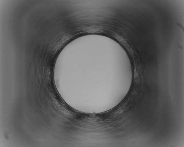 X0000100850201200807181104