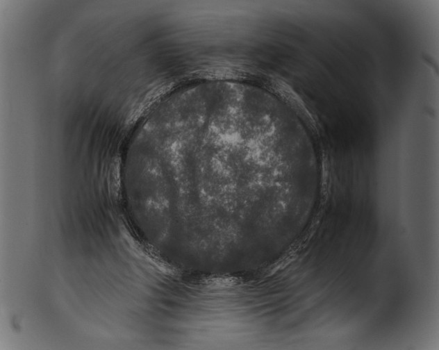 X0000100850202200807181104
