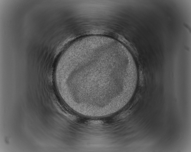 X0000100850203200807181104