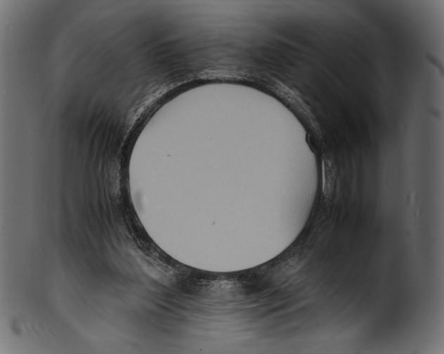 X0000100850204200807181104