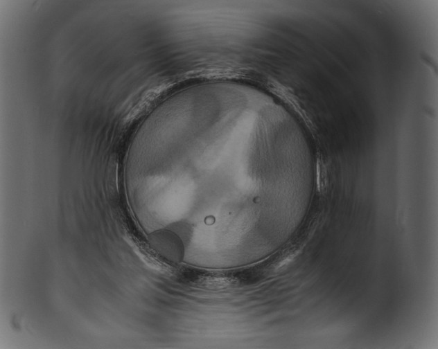 X0000100850205200807181104