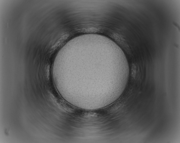 X0000100850206200807181104