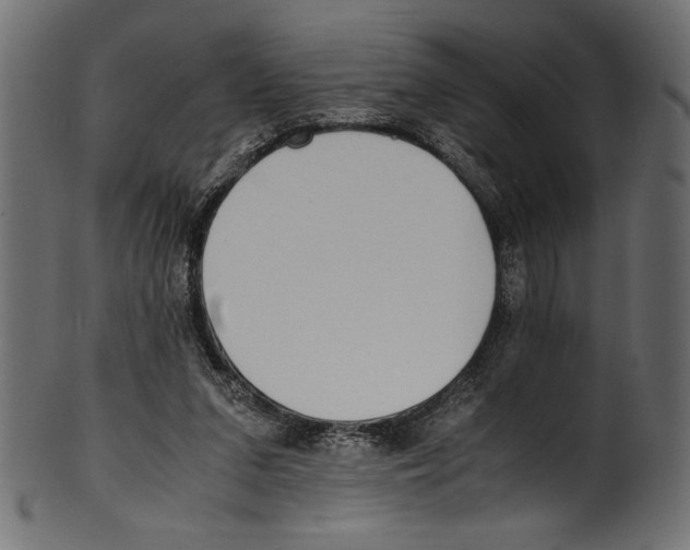 X0000100850207200807181104