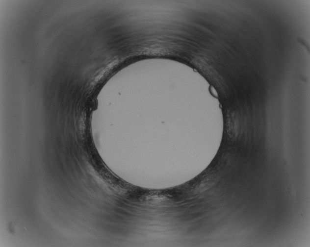 X0000100850208200807181104
