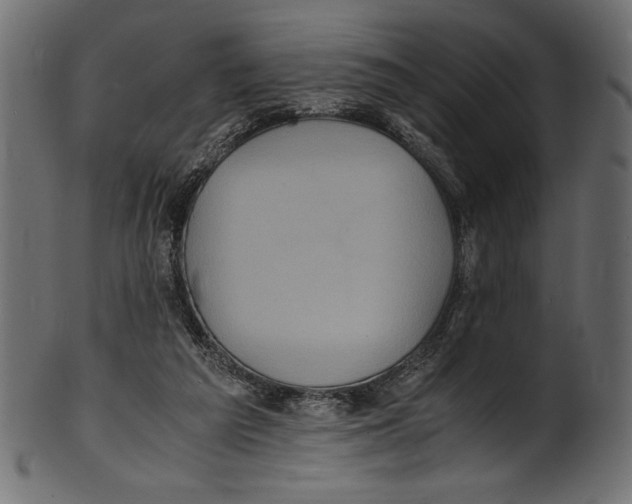 X0000100850209200807181104
