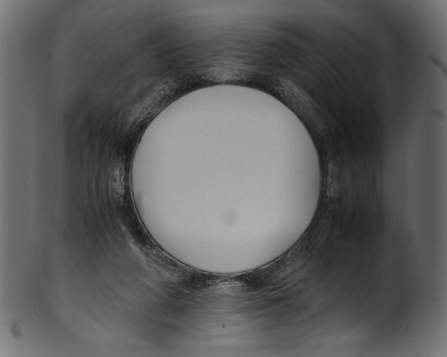 X0000100850210200807181103