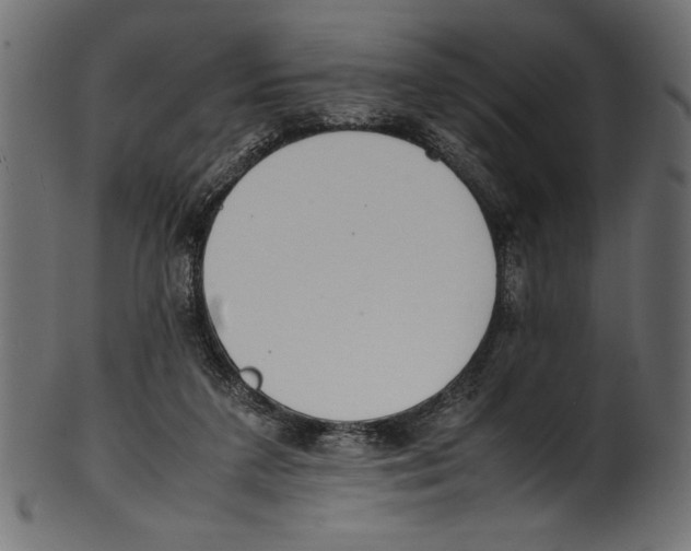 X0000100850211200807181103