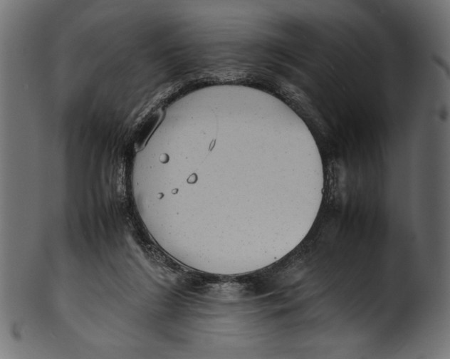 X0000100850212200807181103