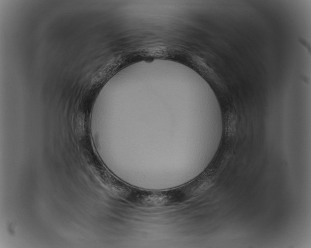 X0000100850213200807181103