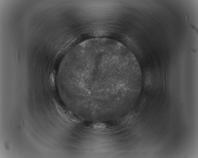 X0000100850214200807181103