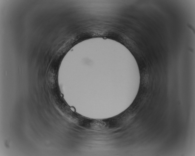 X0000100850215200807181103