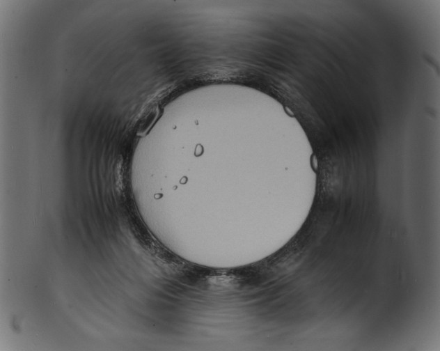 X0000100850216200807181103