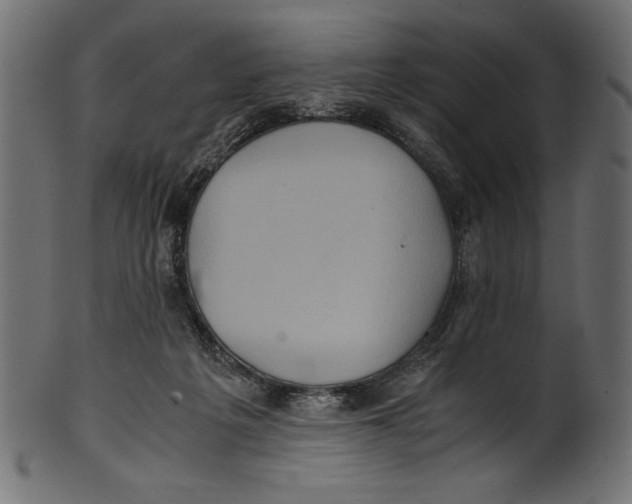 X0000100850217200807181103