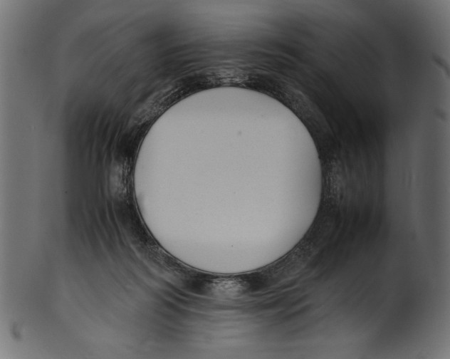 X0000100850218200807181103