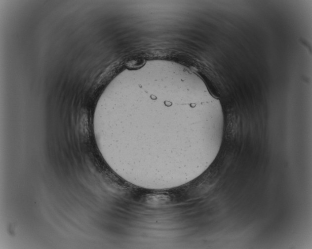 X0000100850220200807181103