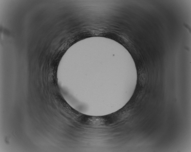 X0000100850221200807181103