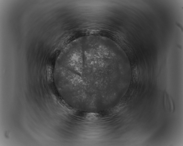 X0000100850222200807181103