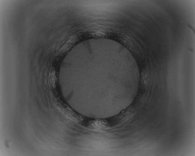 X0000100850223200807181103