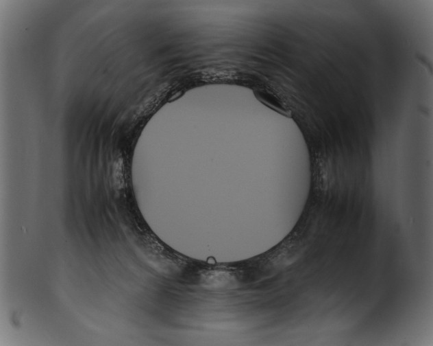 X0000100850224200807181103