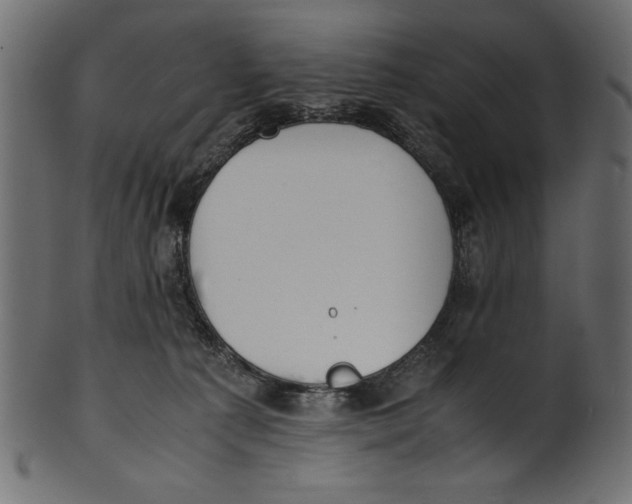 X0000100850225200807181103