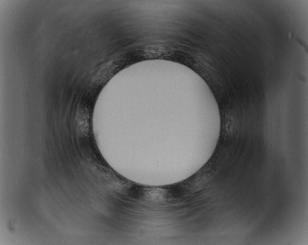 X0000100850226200807181103