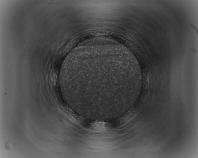 X0000100850227200807181103