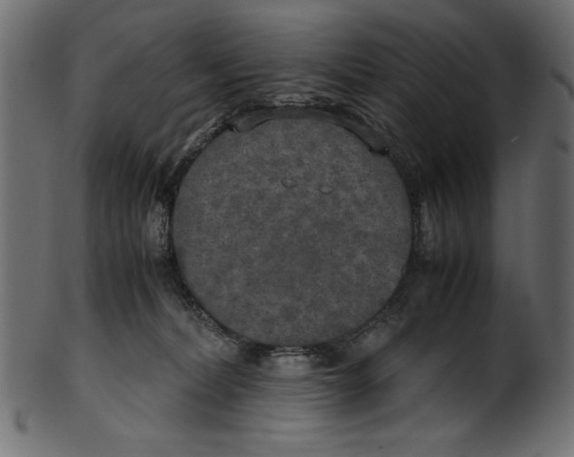X0000100850228200807181103